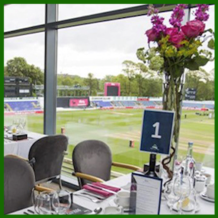 view of the Sophia Gardens from inside